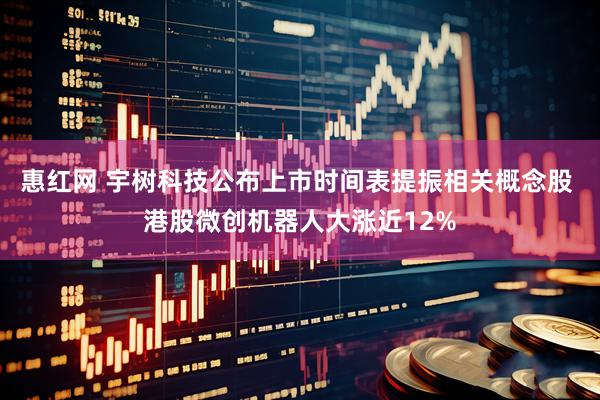 惠红网 宇树科技公布上市时间表提振相关概念股 港股微创机器人大涨近12%